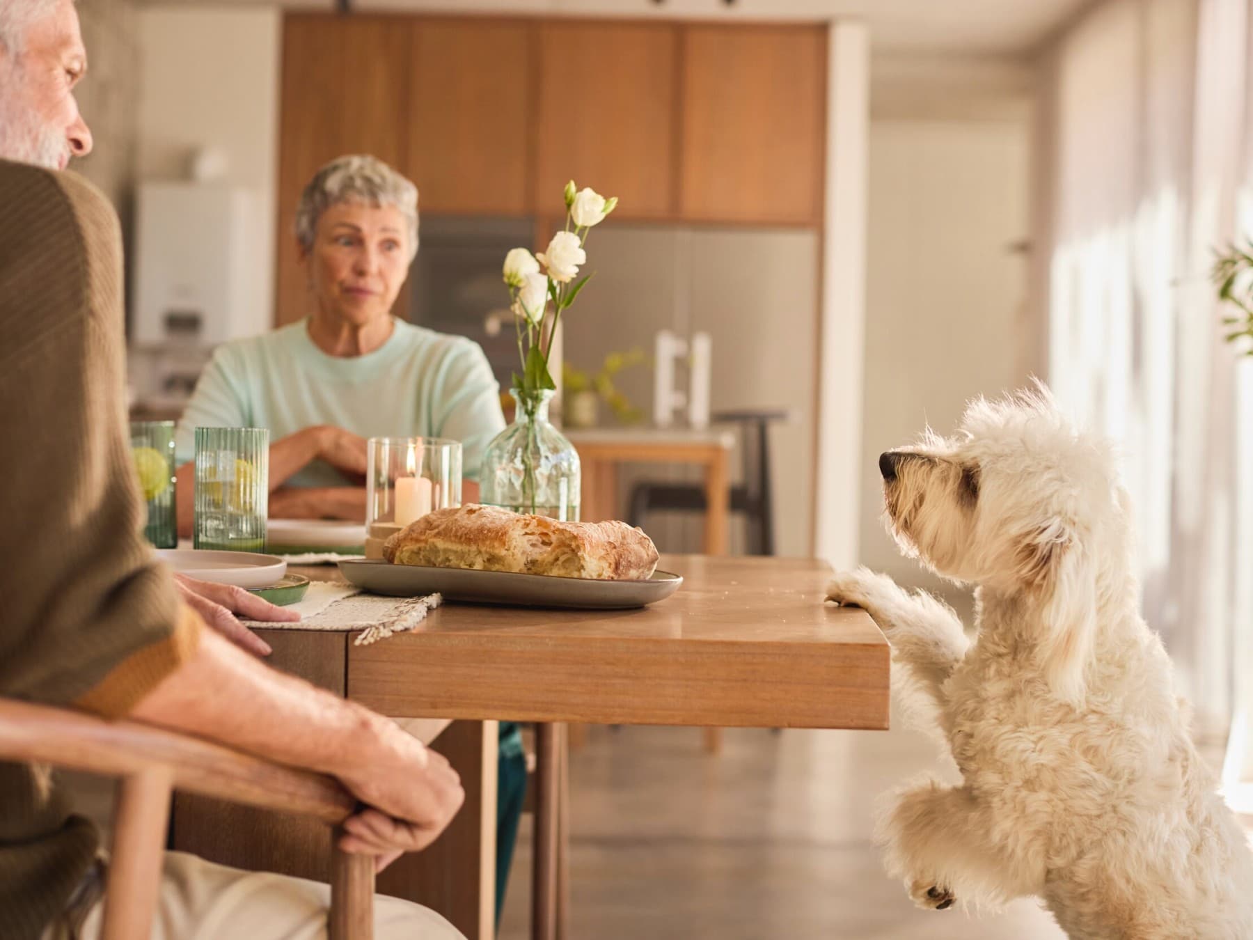 Pár snídá, zatímco pes se dívá na stůl